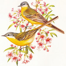 Схема вышивки «№387068»