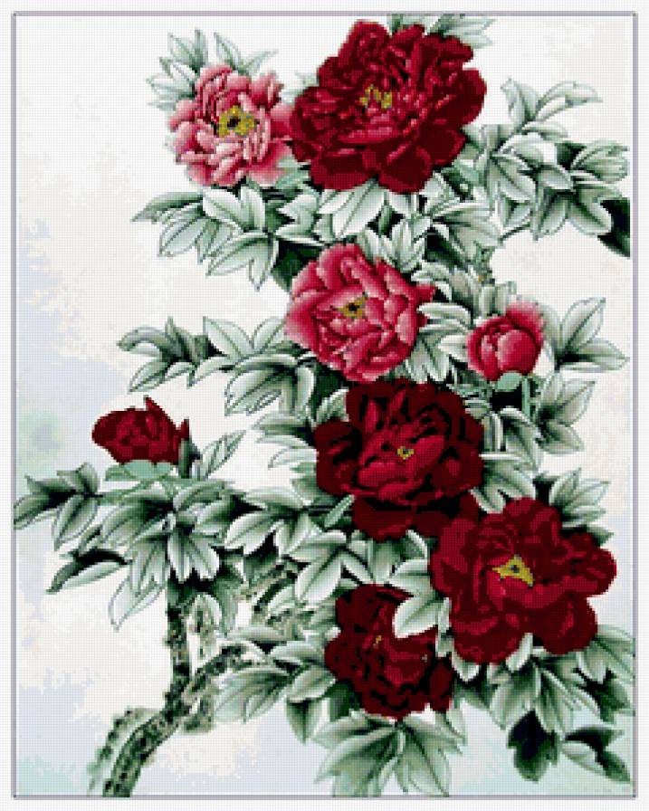 китайская живопись - цветы, восток, пионы - предпросмотр