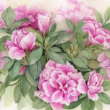 Схема вышивки «нежные пионы»