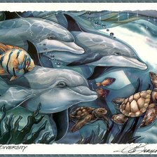 Схема вышивки «дельфины»