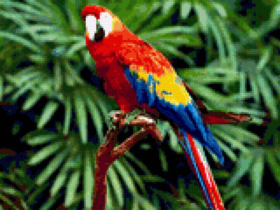 Красавчик. - предпросмотр