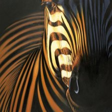 Схема вышивки «Зебра»