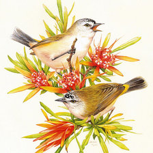 Схема вышивки «№387744»