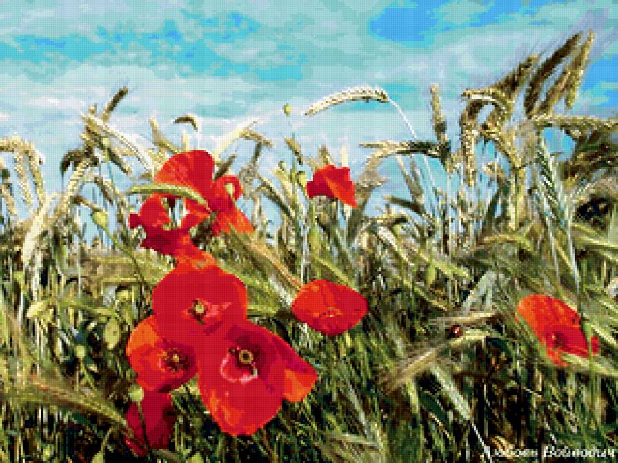 поле - поле, маки, лето - предпросмотр