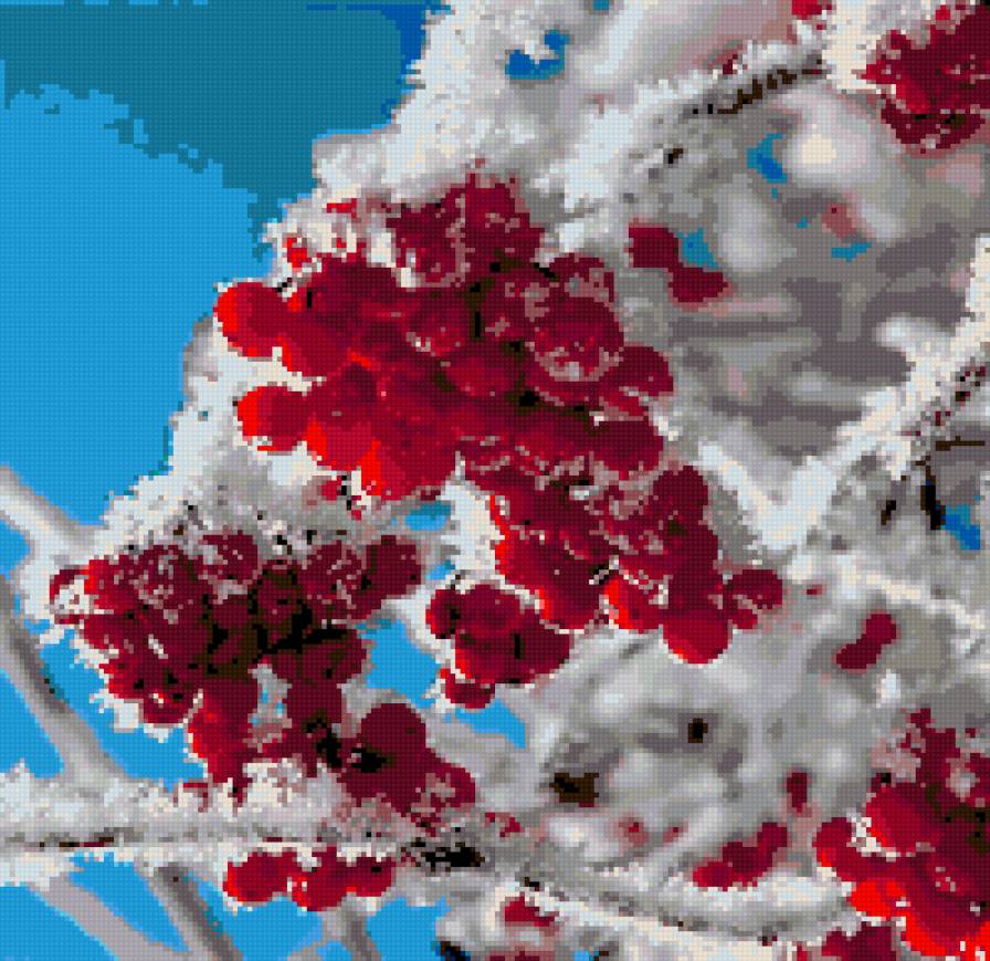 Рябина в снегу - рябина, зимний пейзаж, зима - предпросмотр