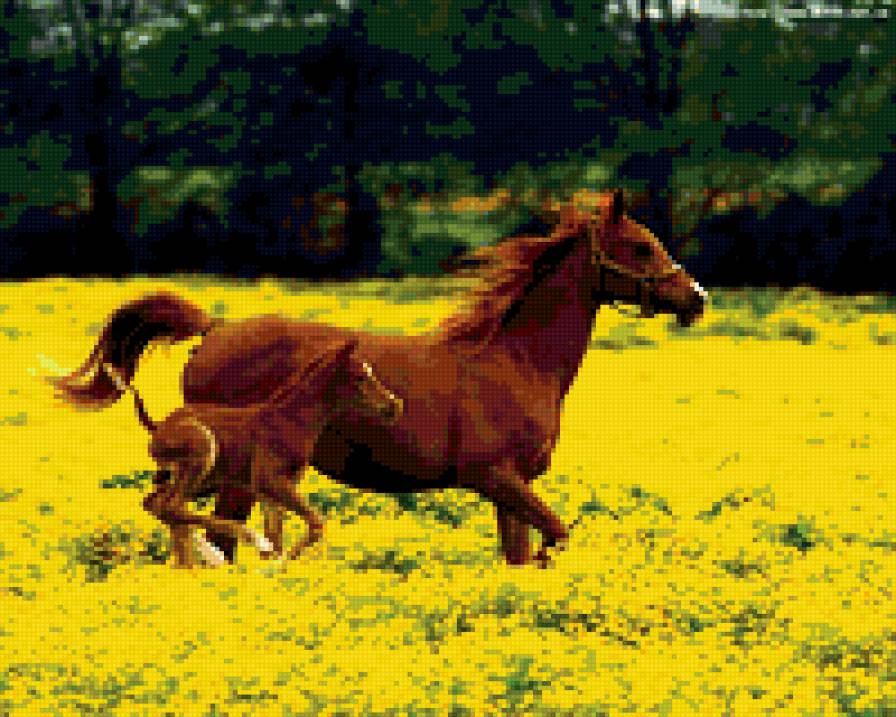 Свобода - предпросмотр