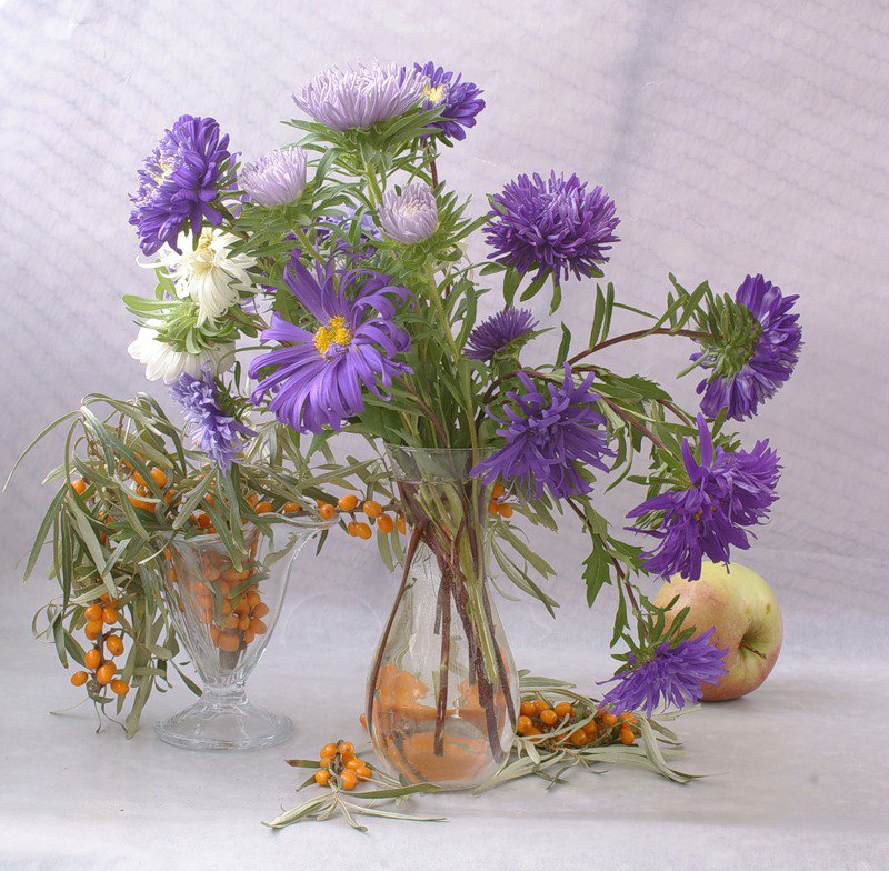 Астры - оригинал