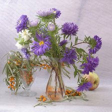 Схема вышивки «Астры»