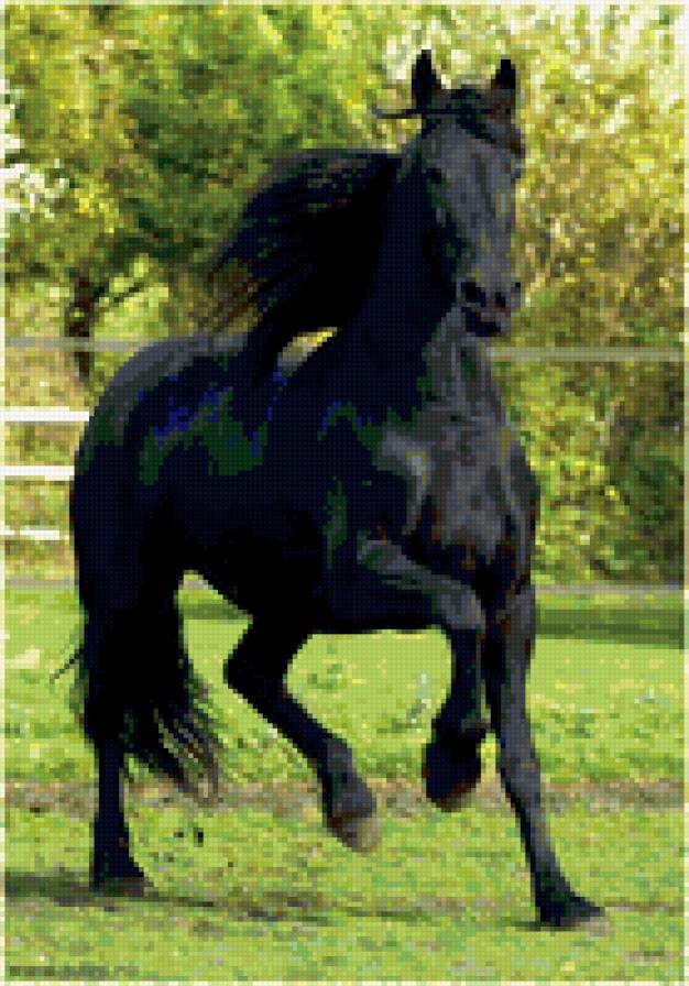 Вороной... - предпросмотр