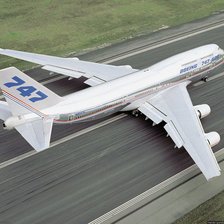 Схема вышивки «Стальная птица»