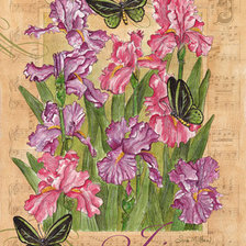 Схема вышивки «ирисы»