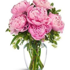 Схема вышивки «пионы»