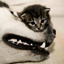 Схема вышивки «Защитник.»