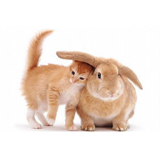 Схема вышивки «Ты мне нравишься.»