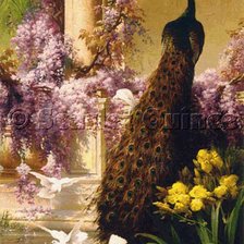 Схема вышивки «paum»