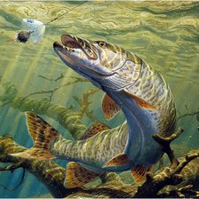 Схема вышивки «№388357»