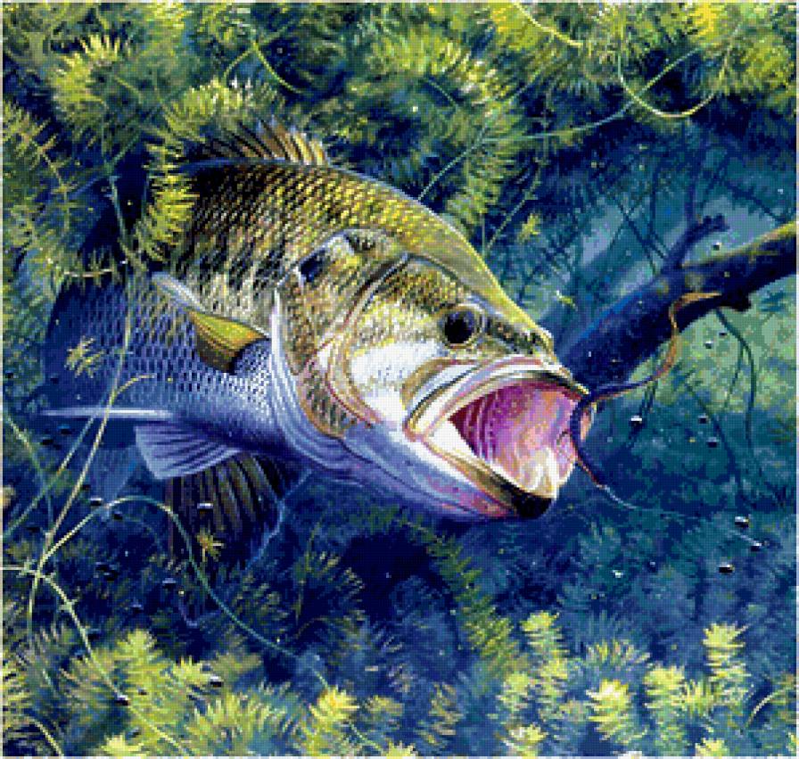 №388374 - рыбы, море, корабли, океан, рыбалка - предпросмотр