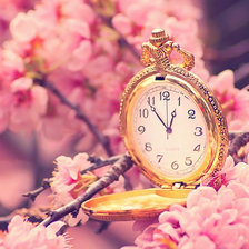 Схема вышивки «весенние часы»