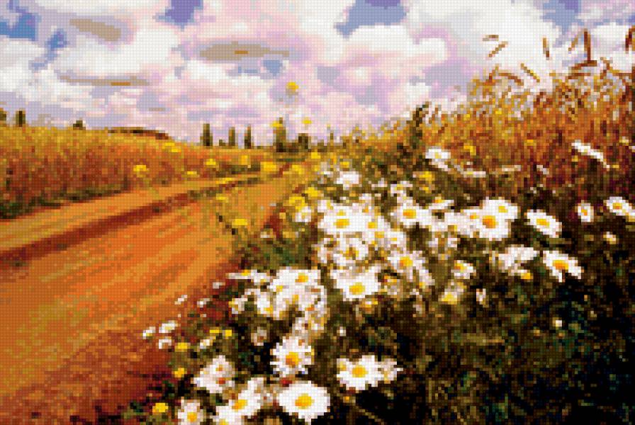 сельский пейзаж - поле, ромашки, село - предпросмотр