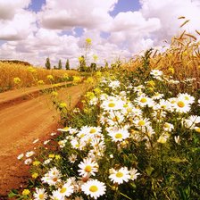 Схема вышивки «сельский пейзаж»