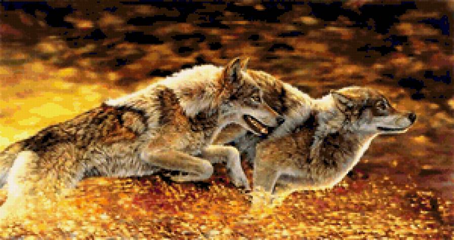 №388433 - охота, волки, орлы, дикая природа, олени, утки, медведи, птицы - предпросмотр