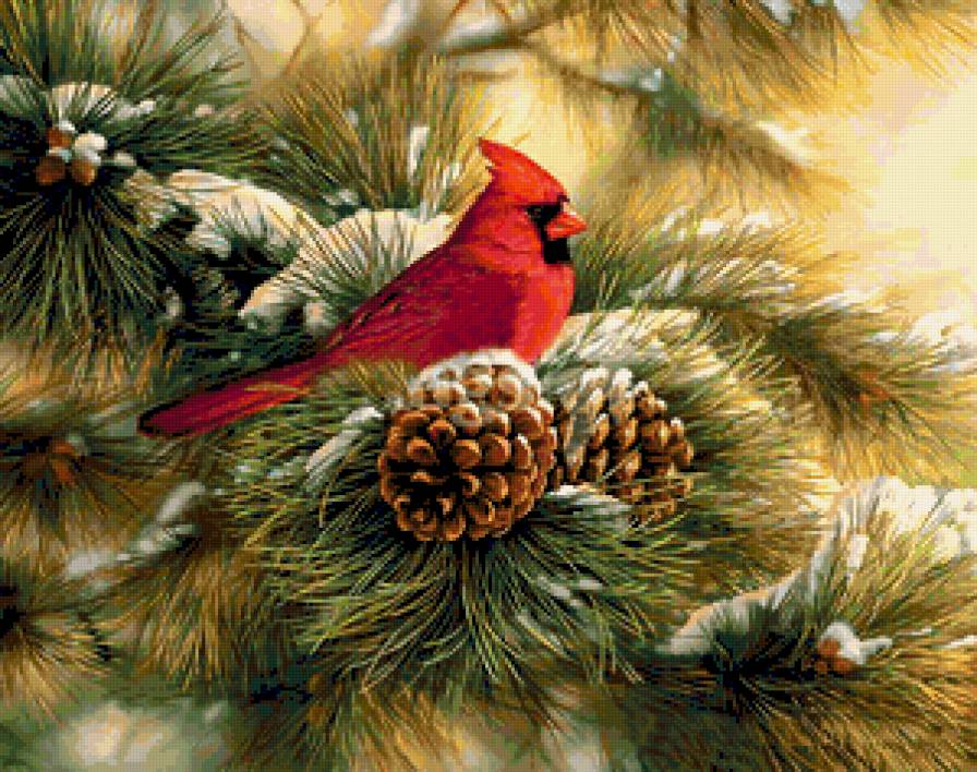 №388469 - птицы, дикая природа, охота, орлы, утки, олени, волки, медведи - предпросмотр