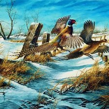 Схема вышивки «№388525»