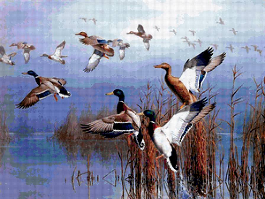 №388528 - олени, утки, птицы, дикая природа, медведи, охота, орлы, волки - предпросмотр