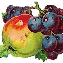 Схема вышивки «натюрморт на кухню»