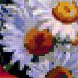 Предпросмотр схемы вышивки «букет ромашек» (№388610)