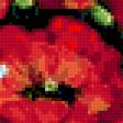 Предпросмотр схемы вышивки «маки в вазе» (№388623)