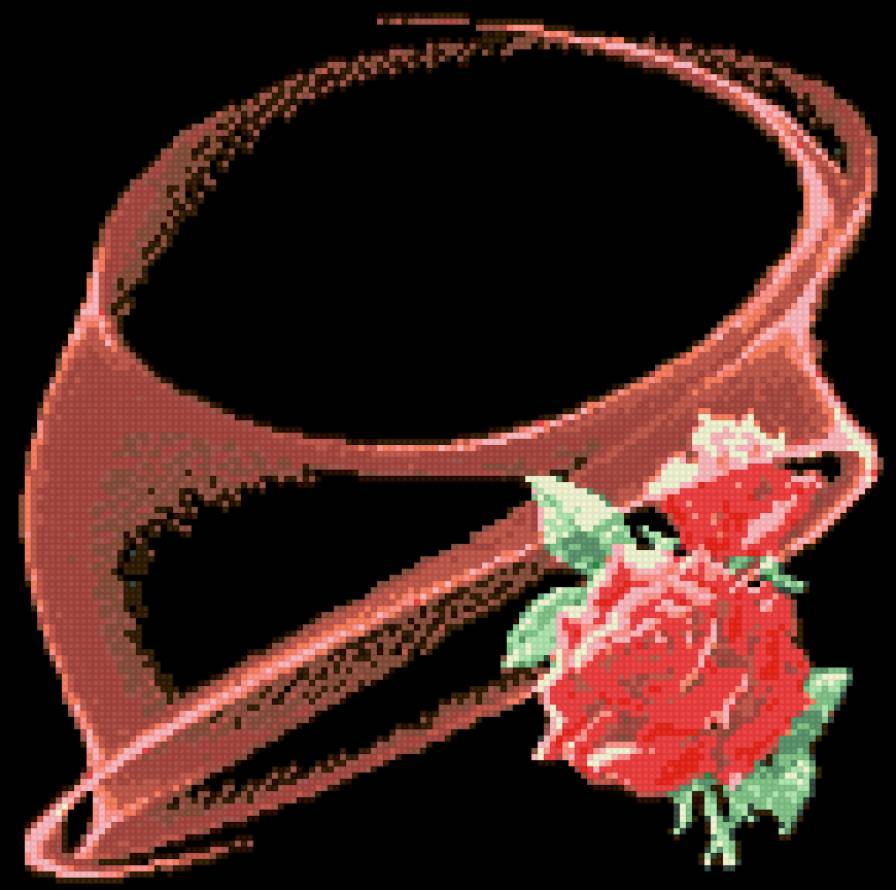 роза на черном - цветы - предпросмотр