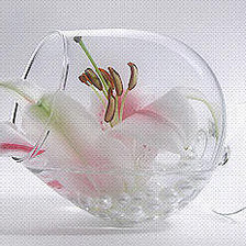 Схема вышивки «лилия в бокале»