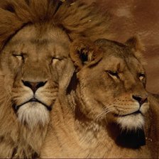 Схема вышивки «Царская любовь»