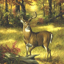 Схема вышивки «0116»