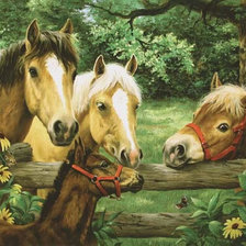 Схема вышивки «0120»