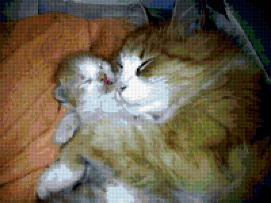 сладкий сон - кошки - предпросмотр