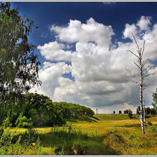 Схема вышивки «лето»