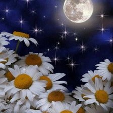 Схема вышивки «ромашки»