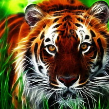 Схема вышивки «тигр»