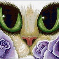 Схема вышивки «кошкин взгляд»