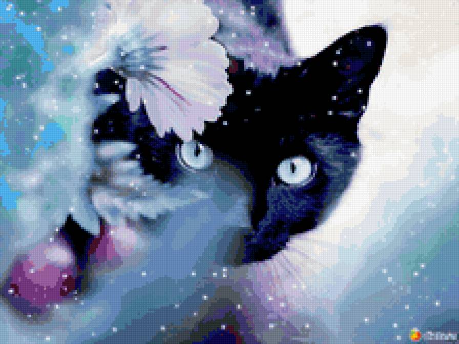 Я вас вижу - предпросмотр