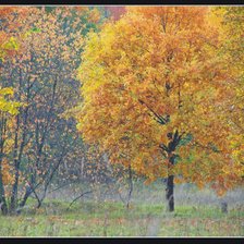 Схема вышивки «осень»