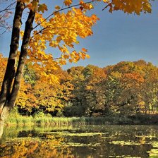 Схема вышивки «осень»
