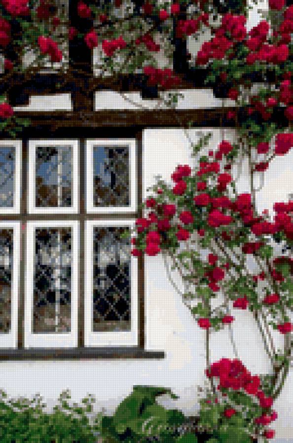 Летний домик - лето, цветы, дача, дом - предпросмотр