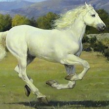 Схема вышивки «белая лошадь»