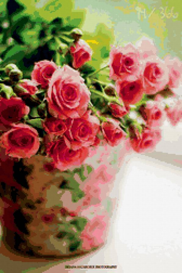 Букет роз - розы, цветы - предпросмотр