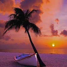 Схема вышивки «Серия Пальмы»