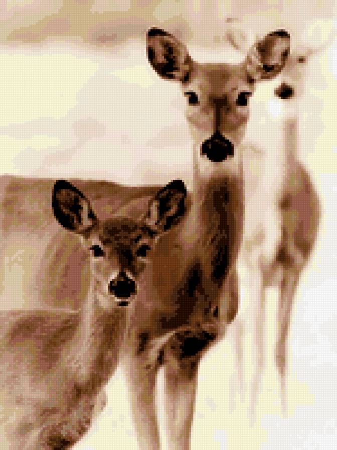 Олени - олененок - предпросмотр