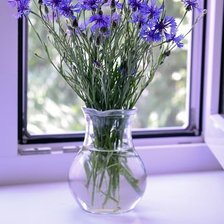 Схема вышивки «васильки»